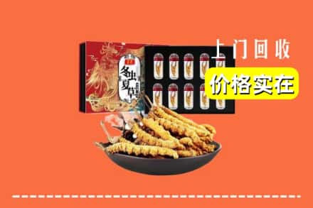 佛山市禅城回收冬虫夏草
