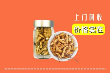 收购资讯:佛山市禅城回收散虫草
