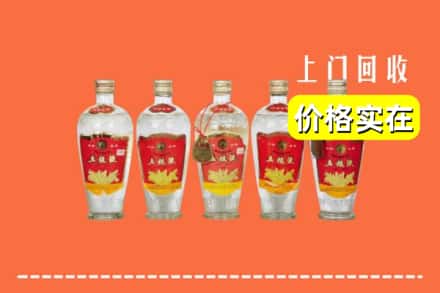 佛山市禅城回收老五粮液